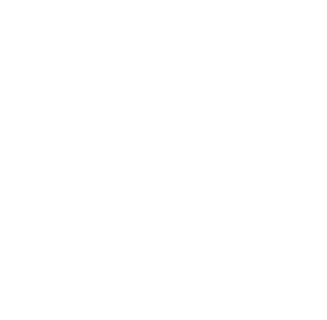 Vegvisir